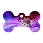 Clematis Structure Close Up Blossom Dog Tag Bone (Two Sides) Front