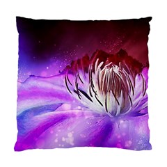 Clematis Structure Close Up Blossom Standard Cushion Case (two Sides) by Pakrebo