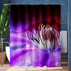 Clematis Structure Close Up Blossom Shower Curtain 60  X 72  (medium)  by Pakrebo