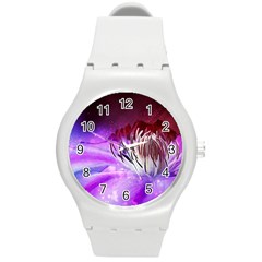 Clematis Structure Close Up Blossom Round Plastic Sport Watch (m) by Pakrebo