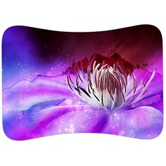 Clematis Structure Close Up Blossom Velour Seat Head Rest Cushion by Pakrebo