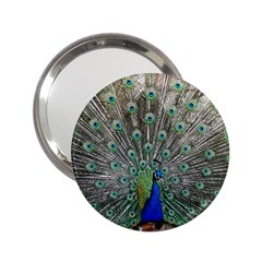 Peacock Bird Animal Feather 2 25  Handbag Mirrors by Pakrebo