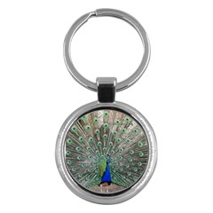 Peacock Bird Animal Feather Key Chains (round)  by Pakrebo