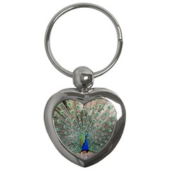 Peacock Bird Animal Feather Key Chains (heart)  by Pakrebo