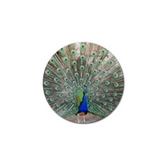 Peacock Bird Animal Feather Golf Ball Marker (4 Pack) by Pakrebo