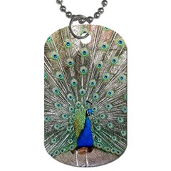 Peacock Bird Animal Feather Dog Tag (two Sides) by Pakrebo