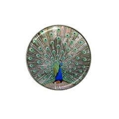 Peacock Bird Animal Feather Hat Clip Ball Marker by Pakrebo