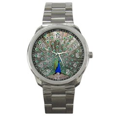 Peacock Bird Animal Feather Sport Metal Watch by Pakrebo