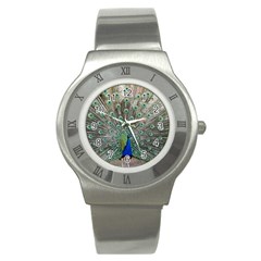 Peacock Bird Animal Feather Stainless Steel Watch by Pakrebo