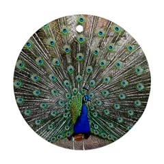 Peacock Bird Animal Feather Round Ornament (two Sides) by Pakrebo