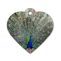 Peacock Bird Animal Feather Dog Tag Heart (two Sides) by Pakrebo