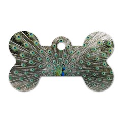 Peacock Bird Animal Feather Dog Tag Bone (one Side) by Pakrebo