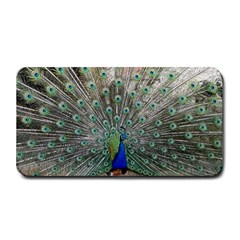 Peacock Bird Animal Feather Medium Bar Mats by Pakrebo