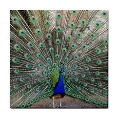 Peacock Bird Animal Feather Face Towel by Pakrebo