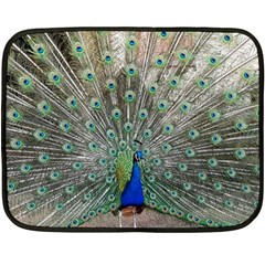 Peacock Bird Animal Feather Double Sided Fleece Blanket (mini)  by Pakrebo