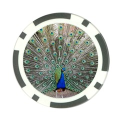 Peacock Bird Animal Feather Poker Chip Card Guard (10 Pack) by Pakrebo