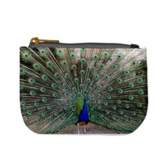 Peacock Bird Animal Feather Mini Coin Purse by Pakrebo