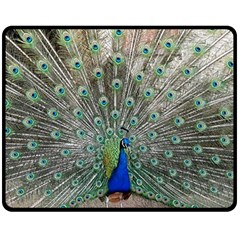 Peacock Bird Animal Feather Fleece Blanket (medium)  by Pakrebo