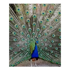 Peacock Bird Animal Feather Shower Curtain 60  X 72  (medium)  by Pakrebo