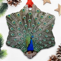 Peacock Bird Animal Feather Snowflake Ornament (two Sides) by Pakrebo