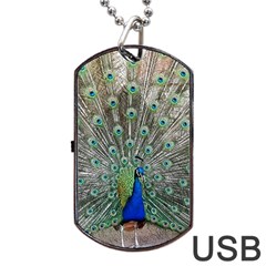 Peacock Bird Animal Feather Dog Tag Usb Flash (two Sides) by Pakrebo