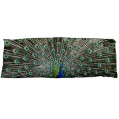 Peacock Bird Animal Feather Body Pillow Case (dakimakura) by Pakrebo