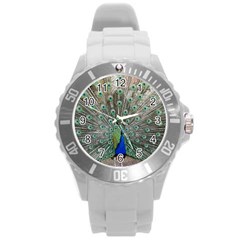 Peacock Bird Animal Feather Round Plastic Sport Watch (l) by Pakrebo