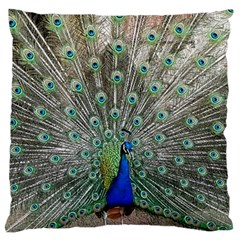 Peacock Bird Animal Feather Large Cushion Case (one Side) by Pakrebo