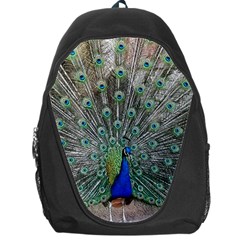 Peacock Bird Animal Feather Backpack Bag by Pakrebo