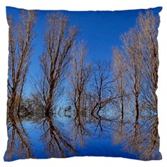 Background Mirror Reflection Large Cushion Case (one Side) by Pakrebo