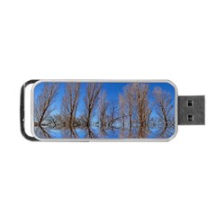 Background Mirror Reflection Portable Usb Flash (one Side) by Pakrebo