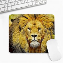 Lion Lioness Wildlife Hunter Large Mousepads by Pakrebo