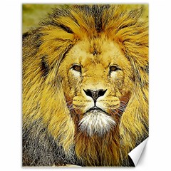 Lion Lioness Wildlife Hunter Canvas 12  X 16  by Pakrebo