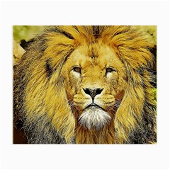 Lion Lioness Wildlife Hunter Small Glasses Cloth (2-side) by Pakrebo