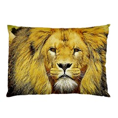 Lion Lioness Wildlife Hunter Pillow Case by Pakrebo