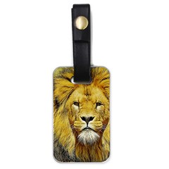 Lion Lioness Wildlife Hunter Luggage Tags (one Side)  by Pakrebo