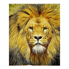 Lion Lioness Wildlife Hunter Shower Curtain 60  X 72  (medium)  by Pakrebo