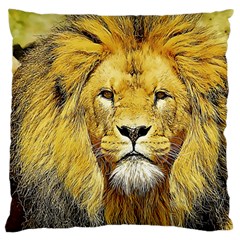 Lion Lioness Wildlife Hunter Large Cushion Case (two Sides) by Pakrebo