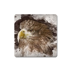 Sea Eagle Raptor Nature Predator Square Magnet by Pakrebo