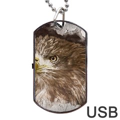 Sea Eagle Raptor Nature Predator Dog Tag Usb Flash (two Sides) by Pakrebo