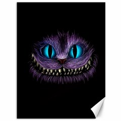 Cheshire Cat Animation Canvas 36  X 48  by Sudhe