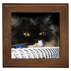 Cat Wanna Study Framed Tile by LoolyElzayat