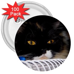 Cat Wanna Study 3  Button (100 Pack) by LoolyElzayat