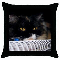 Cat Wanna Study Throw Pillow Case (black) by LoolyElzayat