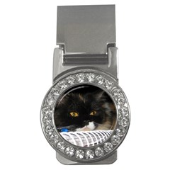 Cat Wanna Study Money Clip (cz) by LoolyElzayat