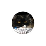 Cat Wanna Study Golf Ball Marker Front