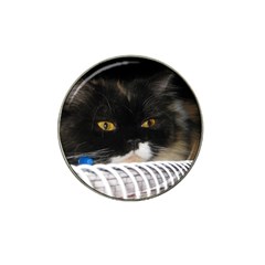 Cat Wanna Study Hat Clip Ball Marker by LoolyElzayat