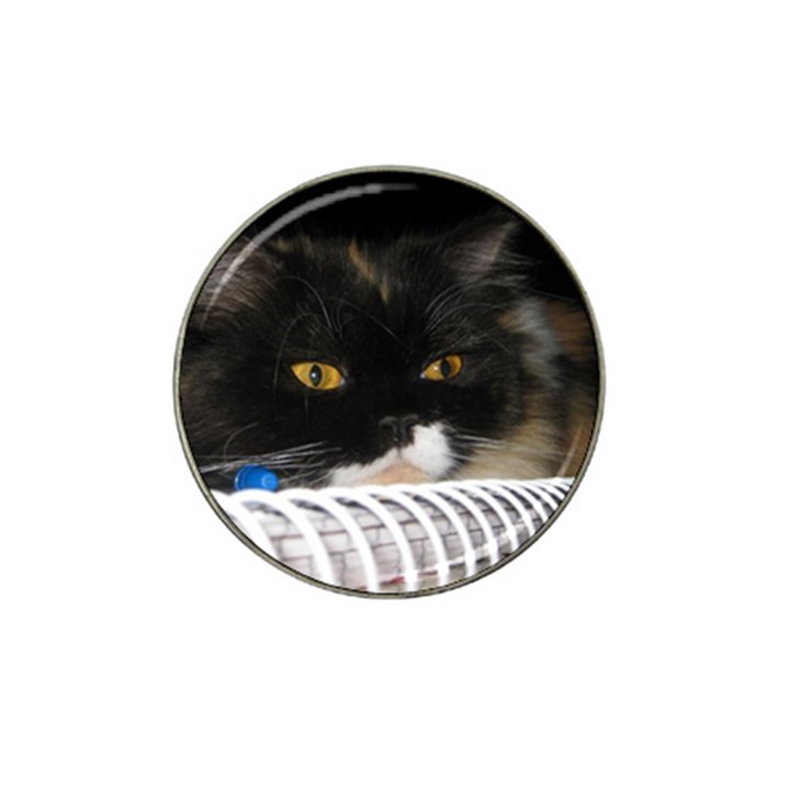 Cat Wanna Study Hat Clip Ball Marker (10 pack)