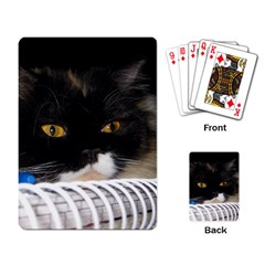 Cat Wanna Study Playing Cards Single Design by LoolyElzayat