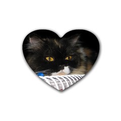 Cat Wanna Study Rubber Coaster (heart) by LoolyElzayat